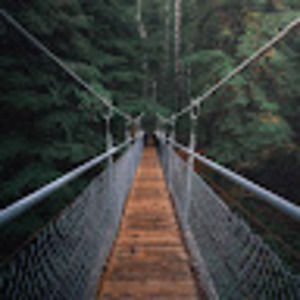 Meet your Posher, Newton